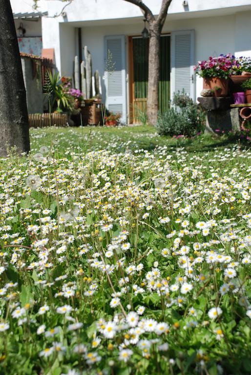 Bed And Breakfast Il Girasole Lamporecchio Luaran gambar